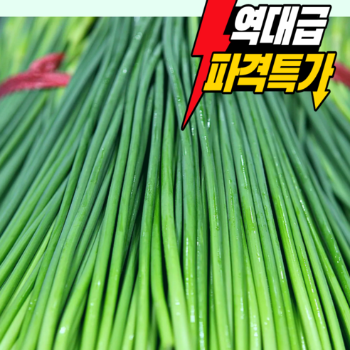 [남해,진도 특품] 산지직송 싱싱하고 아삭한 국산 햇 마늘쫑