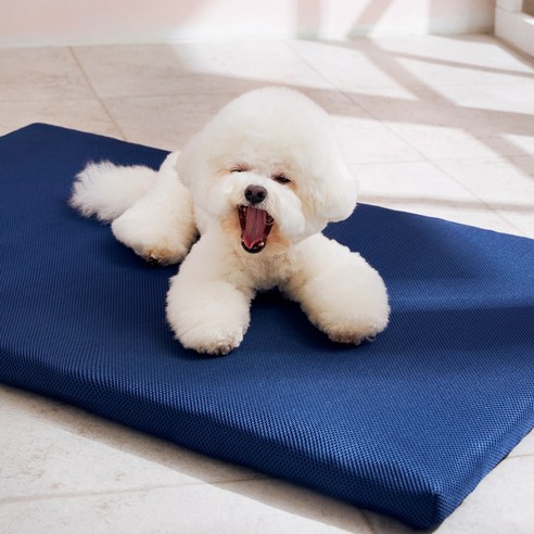 반려견에게 최고의 잠자리를 선물하세요.