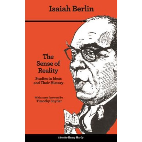 (영문도서) The Sense of Reality: Studies in Ideas and Their History Paperback, Princeton University Press, English, 9780691182872