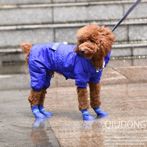 ANYOU 고양이 강아지 레인부츠, 블루, 2개