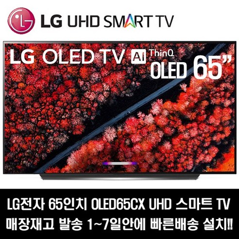 전자 65인치 OED UHD 스마트TV OED65CX 리뷰 후기