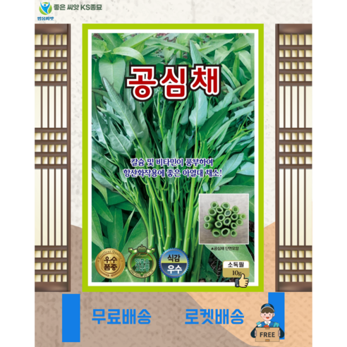 공심채 씨앗(10g) 씨 모닝글로리 씨앗 종묘 종자 영웅 KS, 1개