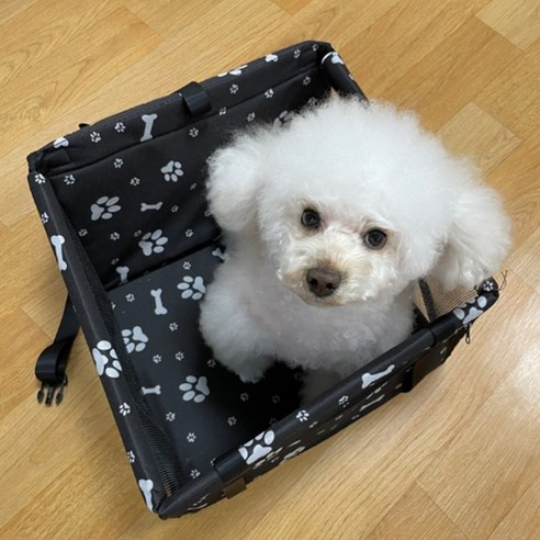 파파스 강아지 고양이 카시트 카매트 안전벨트 애견카시트, 애견 카시트(발자국), 1개입