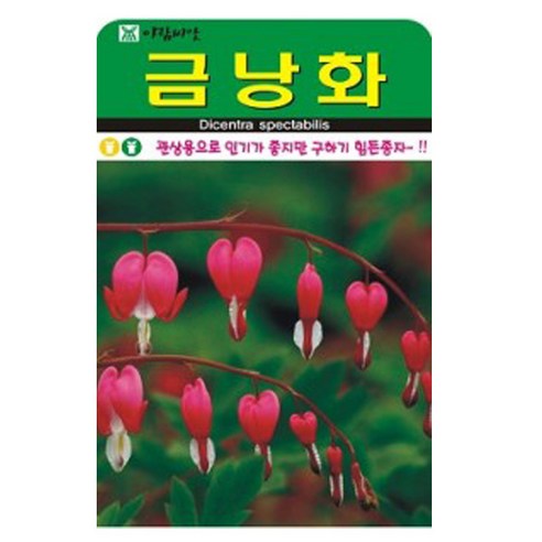 금낭화 꽃 씨앗 (합 20립) 꽃씨 야생화 종자, 1개