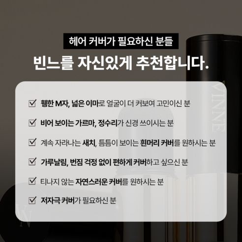 빈느 올커버 퍼펙트 헤어 쿠션스틱 5.1g, 1개, 02내추럴블랙