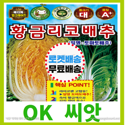 [OK씨앗] [황금리코배추] 배추씨앗 종자(오케이씨앗), 300립