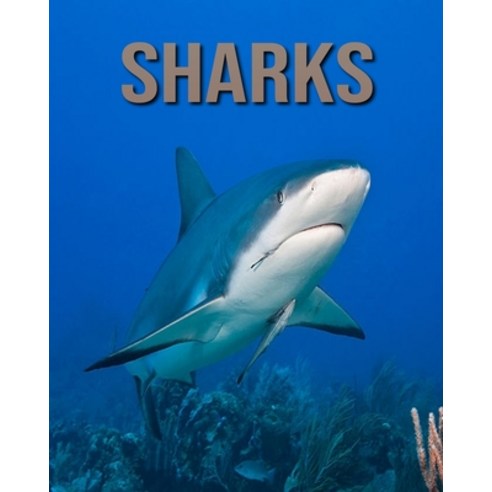 Sharks: Children Book of Fun Facts & Amazing Photos Paperback, Independently Published