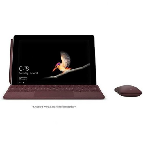 마이크로소프트 서피스 Go | 인텔 펜티엄 골드 8GB RAM 128GB SSD 4G LTE KAZ00001, 1개