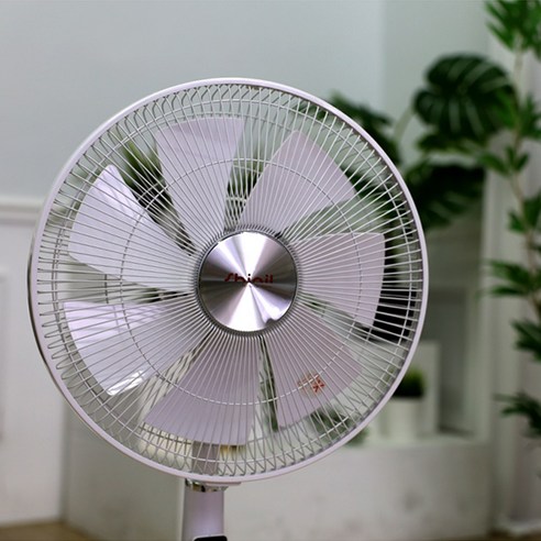 고품질 BLDC모터와 다양한 조절 기능 탑재