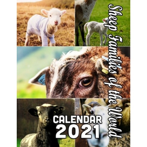 Sheep Families of the World Calendar 2021: October 2020 through March 2022 Paperback, Independently Published