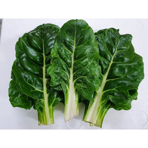 야채이야기 근대 2kg, 1개, 2kg