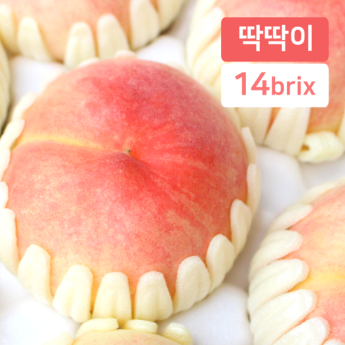 품평회대상 딱딱이 복숭아 백도 과일, 1개, 4kg (15-17과)