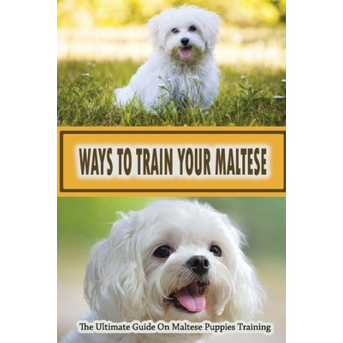 (영문도서) Ways To Train Your Maltese: The Ultimate Guide On Maltese Puppies Training: Overview Of Maltese Paperback, Independently Published, English, 9798549154247
