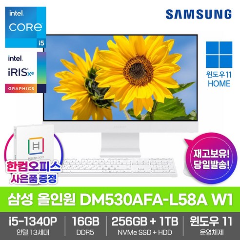 삼성전자 일체형PC 올인원 DM530AFA-L58A W1 16GB/SSD256GB/HDD1TB/13세대 i5/Win11/한컴오피스증정 고성능 업무용 데스크탑, 16GB