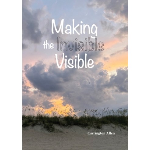(영문도서) Making the Invisible Visible Paperback, Lulu.com, English ...