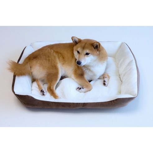 반려동물 공간을 깨끗하고 위생적으로 유지하는 필수품