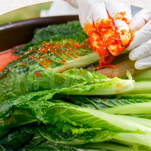 명인의 손길로 빚어낸 밥상 위의 예술, 이인화 명인 얼갈이 김치