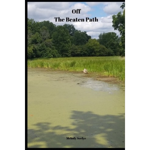 (영문도서) Off The Beaten Path: 4 year Blood Glucose Tracker Paperback, Independently Published, English, 9798608197345