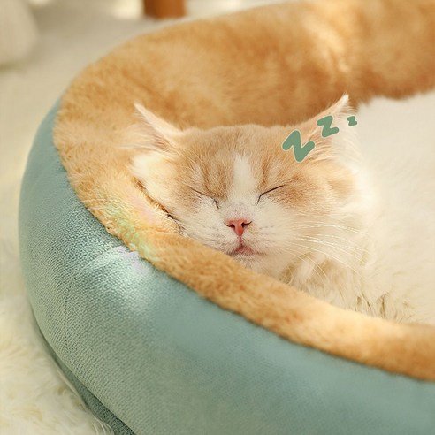 반려동물의 편안한 휴식을 위한 이상적인 선택