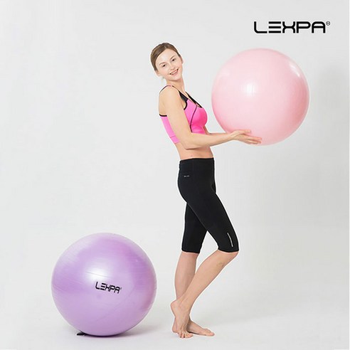 [KT알파쇼핑]렉스파 YH-08 퍼플 65cm 짐볼 피트니스볼, 1개