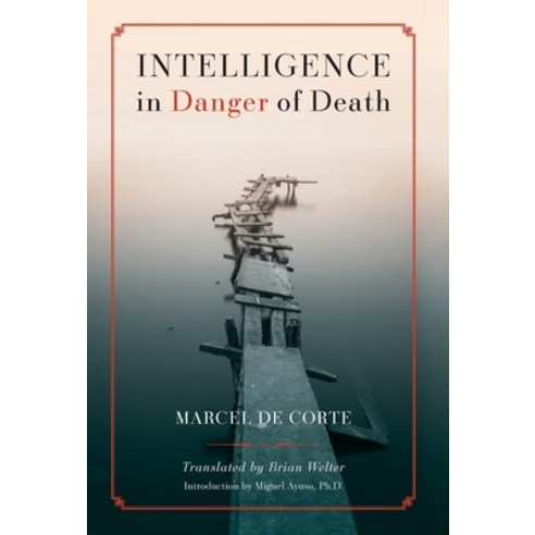 (영문도서) Intelligence in Danger of Death (English edition) Hardcover, Arouca Press, English, 9781990685569