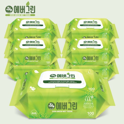 에버그린 물티슈 100매 캡형 10개