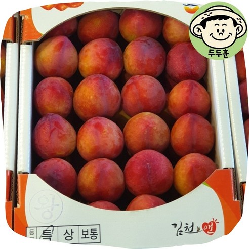 두두훈 과즙폭발 후무사 자두, 1개, 3kg 상