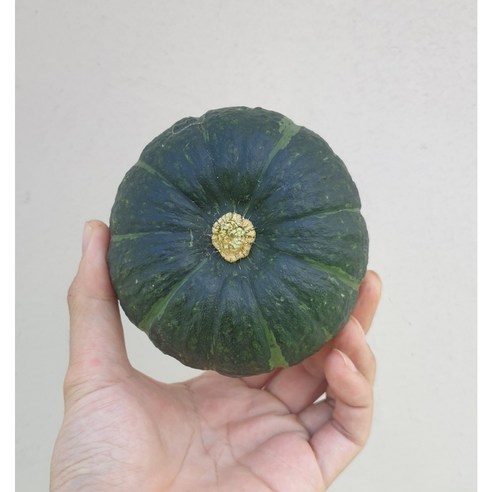 [로얄과] 미니밤호박 미니단호박 보우짱, 1kg, 1개