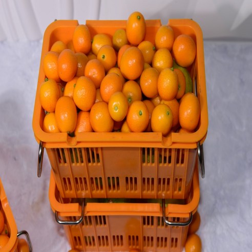 자연의 맛이 담긴 제주 감귤