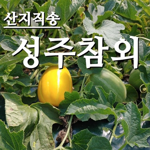 BB [농부네 부부농장] 싱싱한 성주참외 10kg 비품상품, 1박스, 13.참외 정품재수용대과 10kg (18과~27과내외)