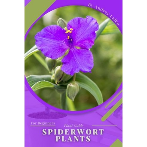 (영문도서) Spiderwort Plants: Plant Guide Paperback, Independently Published, English, 9798392094820