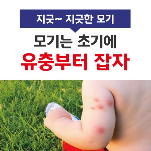 트러스트라바 과립으로 모기 유충을 퇴치하고 쾌적한 여름을!