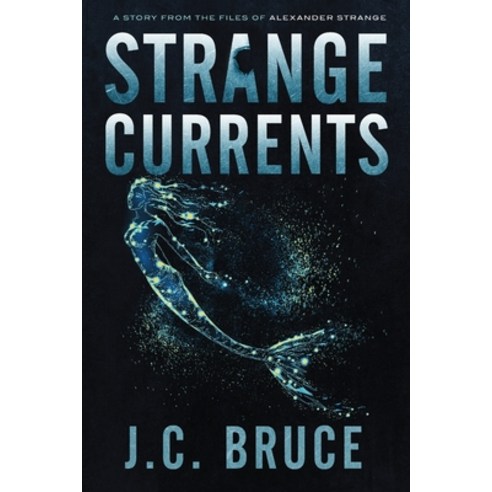 (영문도서) Strange Currents Paperback, Jeffrey C. Bruce LLC, English, 9781734290363
