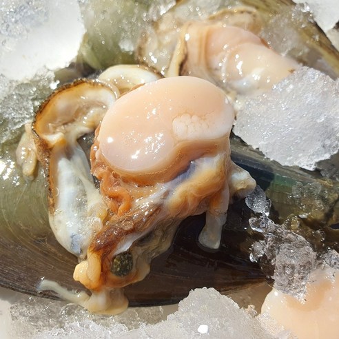 간편한 홈파티, 국내산 생물 키조개로 즐기세요!