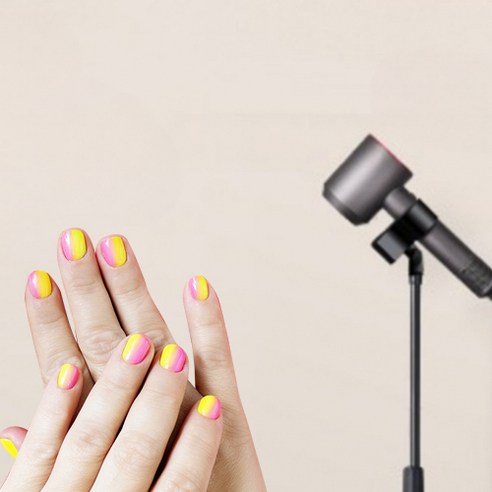 애완동물 미용의 완벽한 동반자