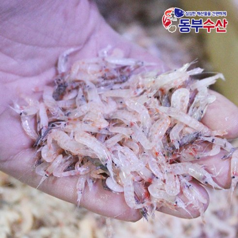 김장용 생새우 동부수산