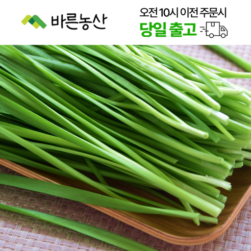 < 바른농산 > 당일수확 국내산 부추 1kg 2kg 4kg, 2kg, 1개 - 부추 | 쿠팡