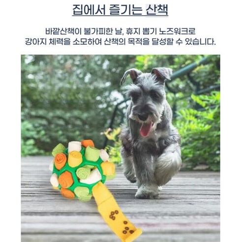 반려견을 위한 최고의 노즈워크 장난감