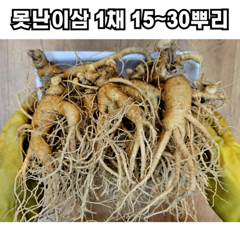 풍기인삼 못난이 막삼 1채 15~30뿌리, 6개, 750g