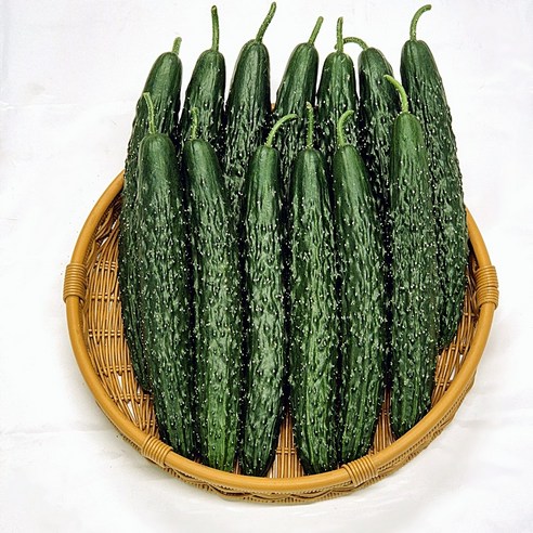 백다다기 백오이 가시오이 오이 청오이 취청오이 햇오이 특등급 3kg 5kg 10kg, 1개, 가시오이 5kg