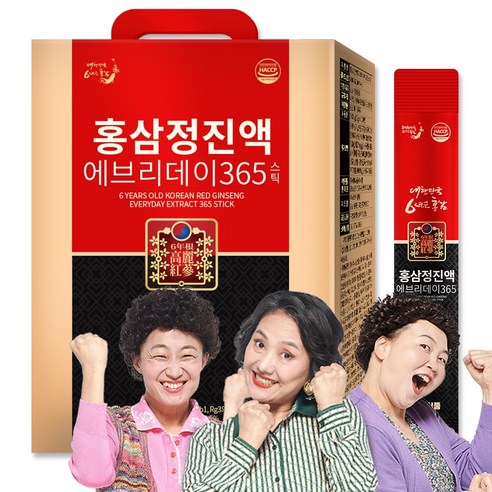 순수식품 홍삼정 진액 에브리데이 365 홍삼스틱, 10g, 100개