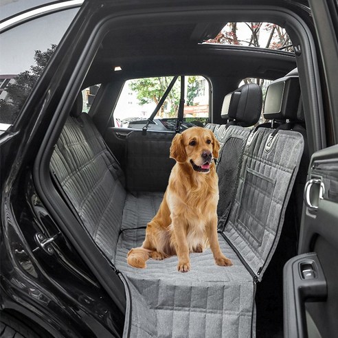 안전하고 편안한 반려동물 여행의 시작