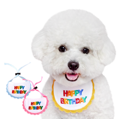 리치독스 강아지 생일 케이프 고양이 프릴케이프, 핑크, 1개