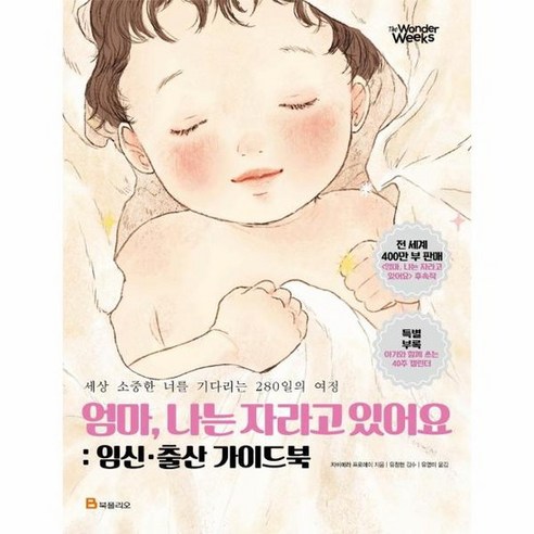아이의 미래를 바꾸는, 엄마의 공부머리 말 습관: 카시오페아의 작은 성공들 엄마나는자라고있어요 15 엄마 나는 자라고 있어요 임신 출산 가이이드북 임신 출산 가이드북, 상품명