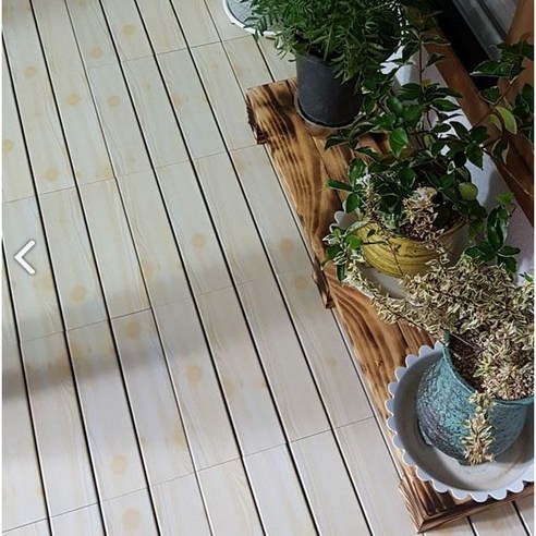 조용하고 편안한 족밑의 동반자