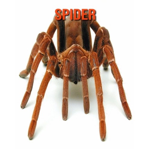 Spider: Amazing Facts about Spider Paperback, Independently Published, English, 9798551764403