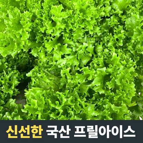 [농장직송] 달달하고 고소한 프릴아이스 1kg 2kg 4kg 6kg 유럽샐러드 유러피안채소 유럽채소 유러피안샐러드 카이피라 양상추 샐러드야채 프릴아이스채소 샐러드용야채 무농약샐러드, 6개