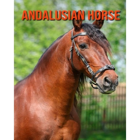 Andalusian Horse: Amazing Photos & Fun Facts Book About Andalusian Horse For Kids Paperback, Independently Published