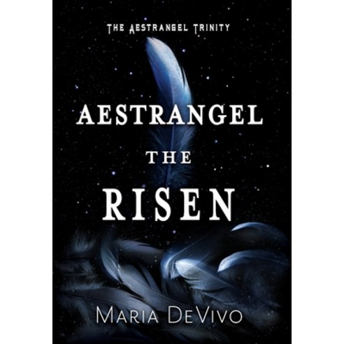 (영문도서) Aestrangel the Risen Hardcover, 4 Horsemen Publications, English, 9798823204682