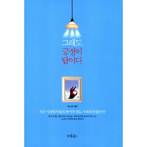 그래도 긍정이 답이다:지금 시작하지 않으면 아무것도 시작되지 않는다, 레몬북스